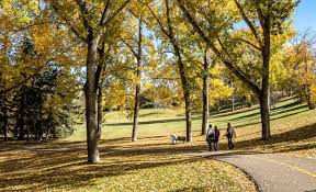 Every Day Movement for a Healthier Life